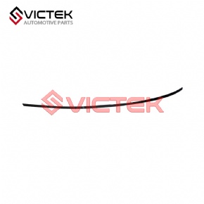 Roof trim strip (L) 5704101-SF01