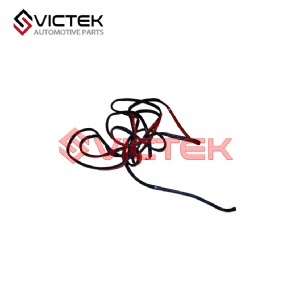 Backdoor window sealing strip 6307001-SF01
